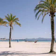 Plaża z palmami, turkusową wodą i ludźmi spacerującymi po piasku.