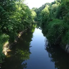 Spokojna rzeka otoczona zielenią drzew i krzewów, z odbiciem nieba i roślinności w wodzie.