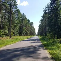 Wielbark atrakcje: odkryj ukryte skarby i niezapomniane miejsca