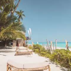 Plaża na Zanzibarze z palmami, leżakami i turkusową wodą.