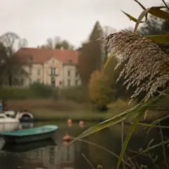 Jesienny widok na jezioro w Sztynorcie. W oddali pałac, na wodzie łodzie i żaglówka. Sztynort atrakcje dla miłośników przyrody i historii.