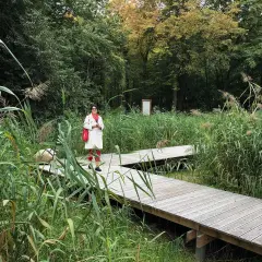 Kobieta na drewnianej kładce wśród trzcin i drzew.