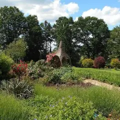 Najlepszy czas na wizytę w arboretum Wojsławice i kwitnienie roślin