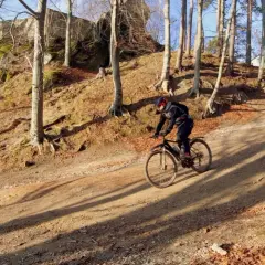 Rowerzysta na piaszczystej ścieżce wśród drzew. W tle skaliste zbocze porośnięte mchem. To jedne z wielu atrakcji Pogórza Dynowskiego.