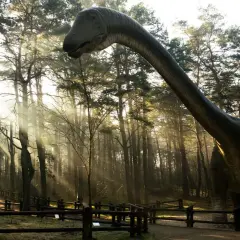 Dinozaur w lesie, jedna z atrakcji Solca Kujawskiego, w promieniach słońca.