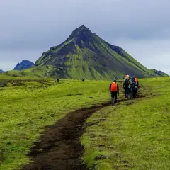 Grupa turystów wyrusza na islandia trekking ścieżką przez zielone, porośnięte mchem wzgórza, w tle majestatyczna góra.