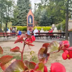 Czerwone kwiaty na pierwszym planie, w tle ludzie siedzący na ławkach przed kapliczką.