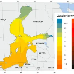 Mapa zasolenia Bałtyku, morza należącego do Oceanu Atlantyckiego. Kolory wskazują zasolenie od 0-1‰ do 31‰.