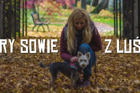 Jesień w Górach Sowich z małym, kudłatym psem. Kobieta kuca przy swoim pupilu na tle opadłych liści.