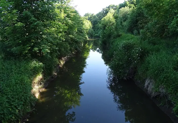 Spokojna rzeka otoczona zielenią drzew i krzewów, z odbiciem nieba i roślinności w wodzie.