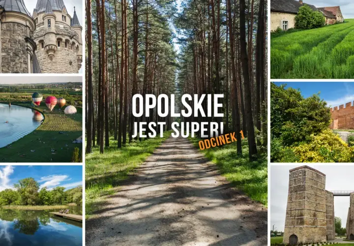 Najciekawsze atrakcje w Opolu, które musisz zobaczyć podczas wizyty