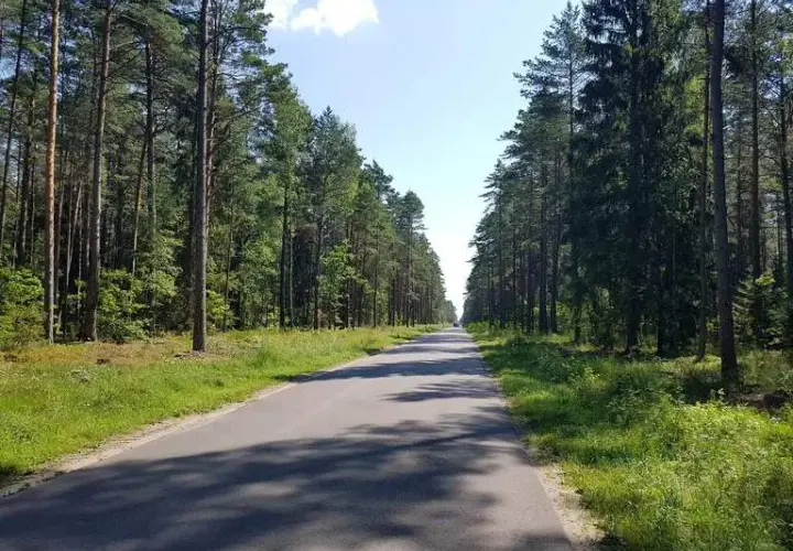 Wielbark atrakcje: odkryj ukryte skarby i niezapomniane miejsca
