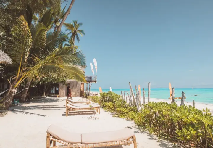 Plaża na Zanzibarze z palmami, leżakami i turkusową wodą.