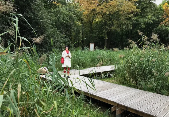 Kobieta na drewnianej kładce wśród trzcin i drzew.
