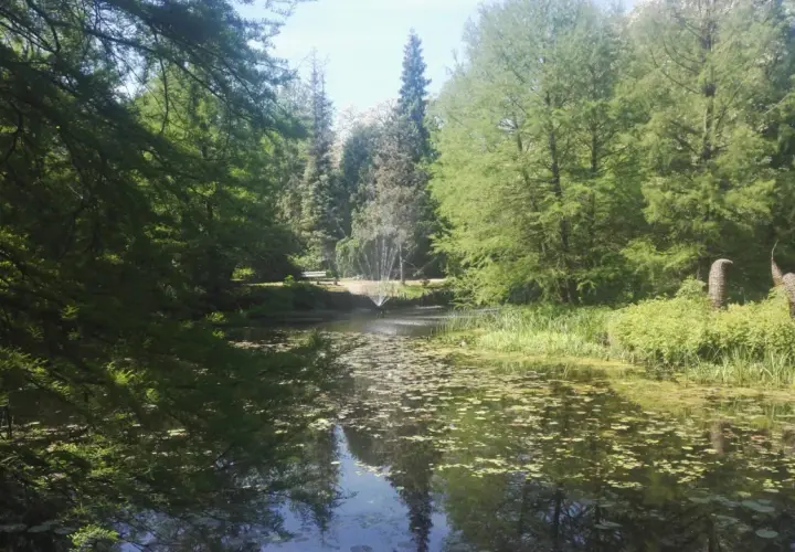 Malowniczy staw z fontanną, otoczony zielenią, to jedna z urokliwych atrakcji w Bolestraszycach.