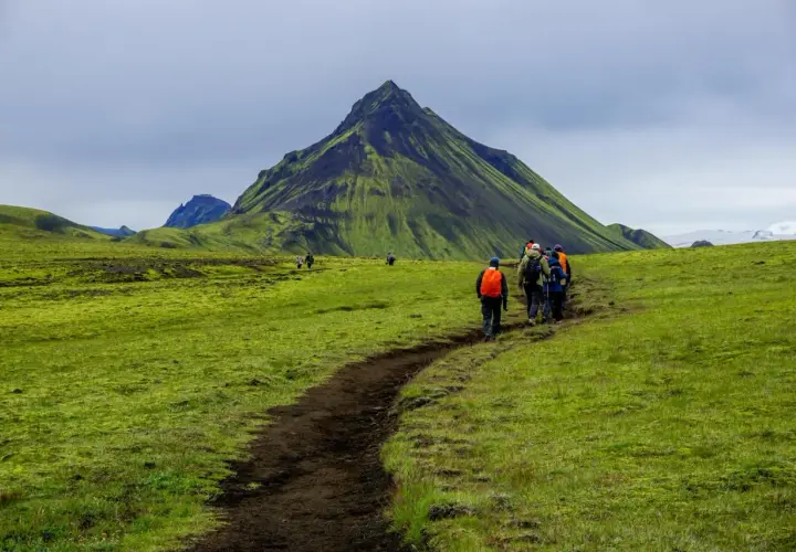 Grupa turystów wyrusza na islandia trekking ścieżką przez zielone, porośnięte mchem wzgórza, w tle majestatyczna góra.