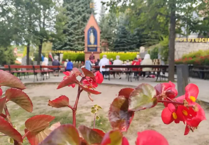 Czerwone kwiaty na pierwszym planie, w tle ludzie siedzący na ławkach przed kapliczką.