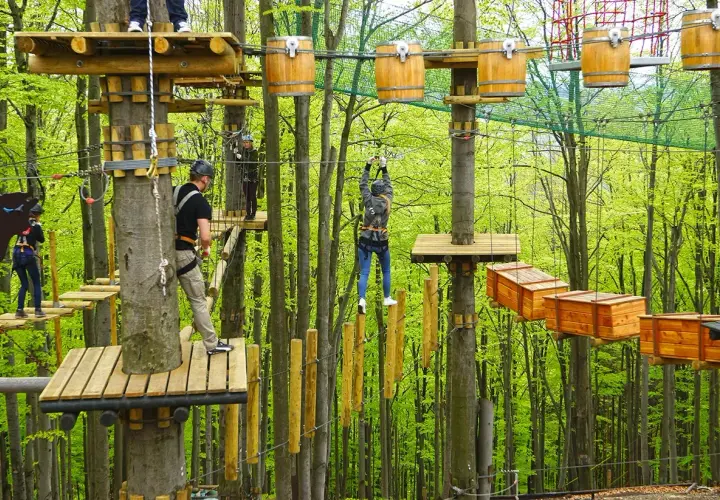 Park linowy w lesie, pełen drewnianych platform i przeszkód. Wśród zieleni widać ludzi pokonujących trasy, szukających wrażeń i **równica atrakcje**.