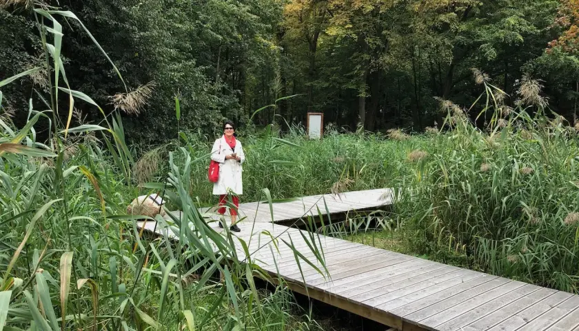 Kobieta na drewnianej kładce wśród trzcin i drzew.
