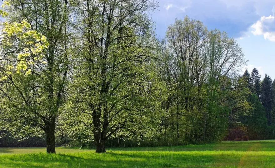 Supraśl - Zwiedzanie bez pośpiechu. Plan na dzień i weekend