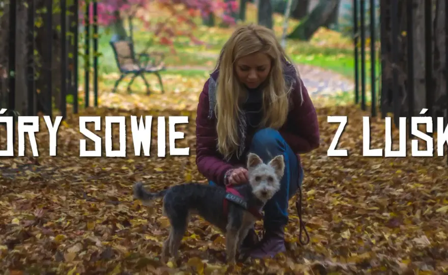 Góry Sowie z psem - najlepsze trasy i praktyczne wskazówki