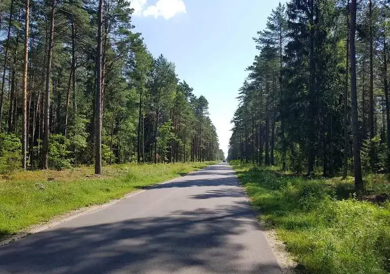 Wielbark atrakcje: odkryj ukryte skarby i niezapomniane miejsca