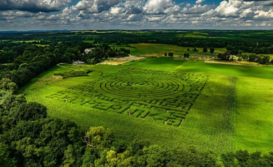 Kurozwęki - czy warto? Plan zwiedzania, safari i labirynty
