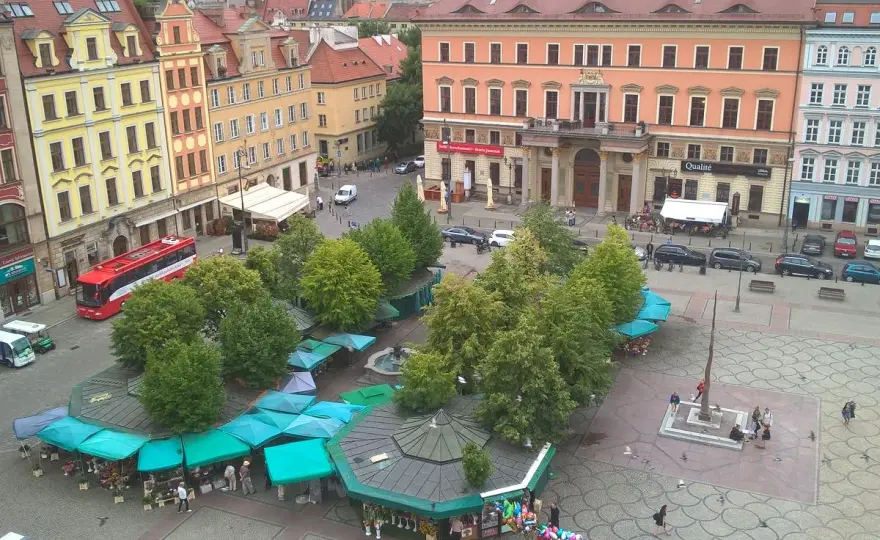 Plac Solny Wrocław - Dlaczego to coś więcej niż tylko kwiaty?