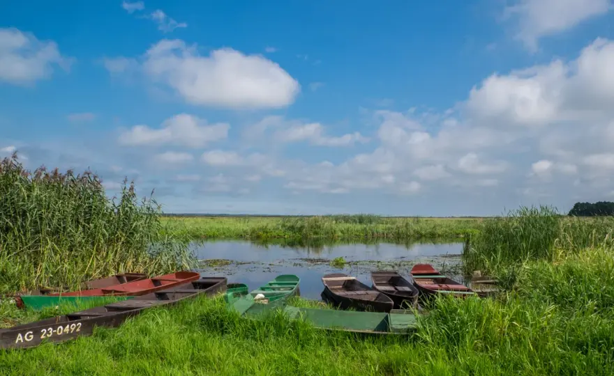 Biebrza - Jak zaplanować wizytę w największym parku Polski?
