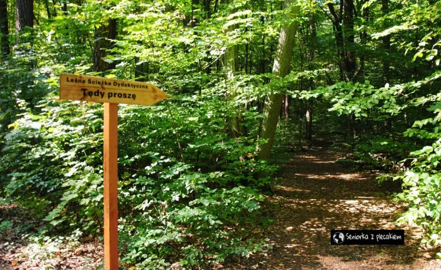 Stare Jabłonki - Mazury bez pośpiechu? Sprawdź, co warto zobaczyć!
