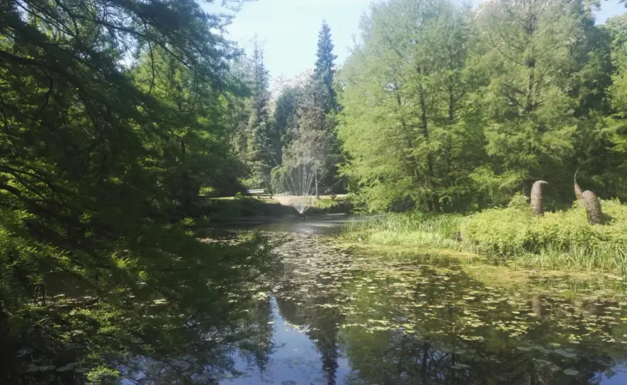 Arboretum Bolestraszyce - jak zwiedzać, by nie żałować?