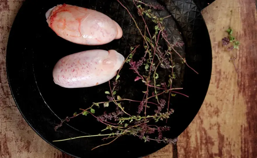 Bycze jaja - jak smakują i jak je przyrządzić krok po kroku?