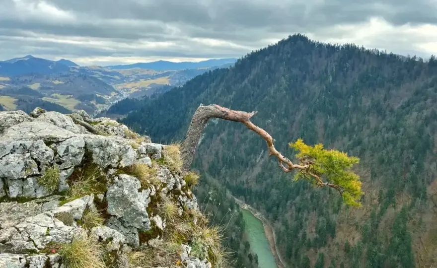 Sromowce Wyżne - Pieniny w pigułce? Plan na spływ i szlaki