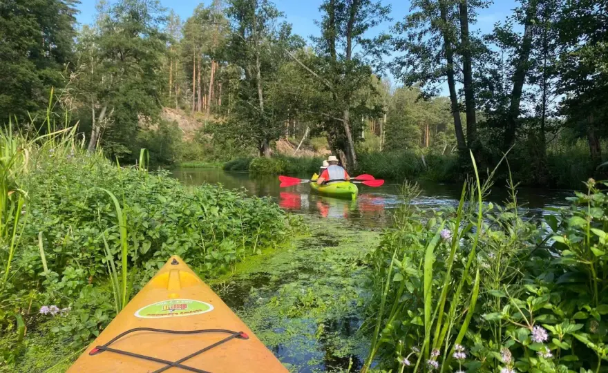 Tleń - Kajaki, jezioro i Bory Tucholskie. Plan na spokojny weekend