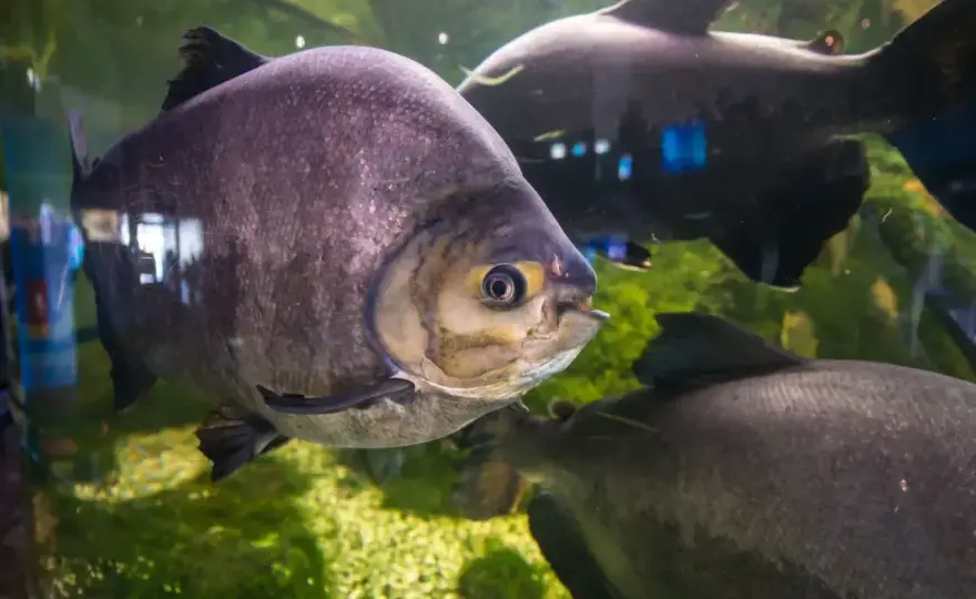 Oceanarium Mielno - Czy warto? Przewodnik dla rodzin