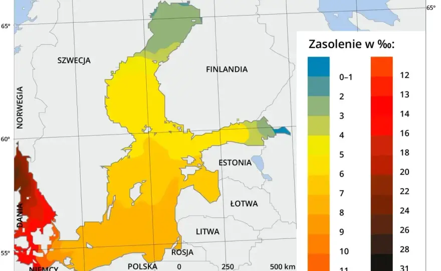 Do jakiego oceanu należy Bałtyk? Wyjaśniamy połączenie