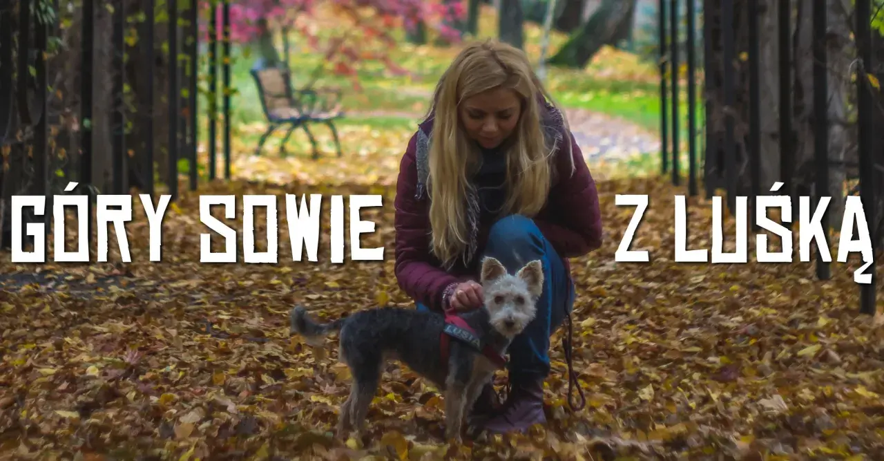 Jesień w Górach Sowich z małym, kudłatym psem. Kobieta kuca przy swoim pupilu na tle opadłych liści.