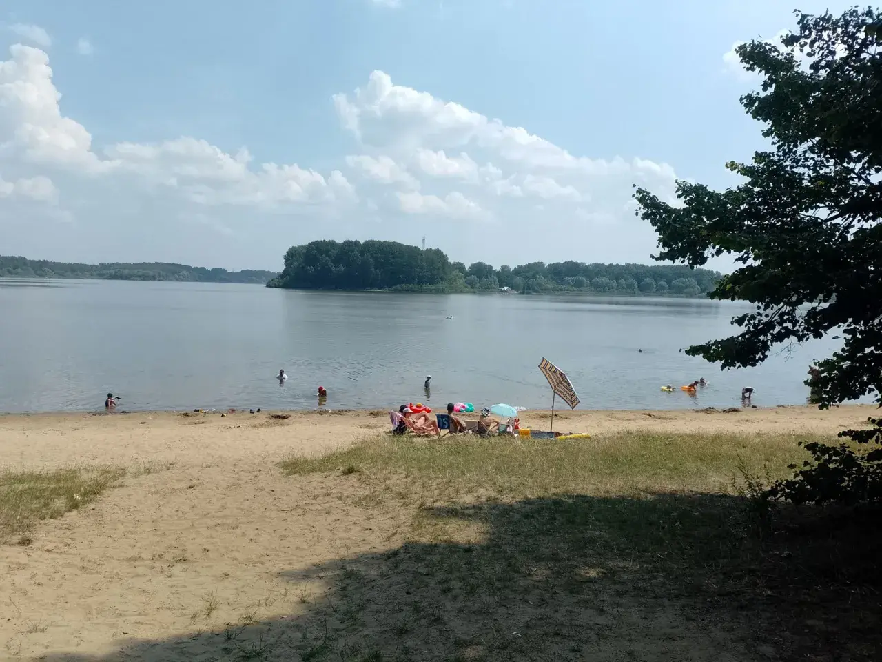 Na Jeziorze Przeczyckim można się kąpać. Ludzie odpoczywają na plaży i w wodzie, ciesząc się letnim dniem.