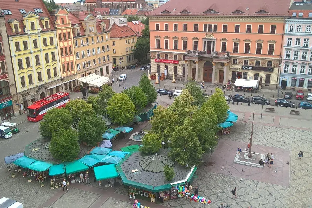 Kolorowe kamienice otaczają plac solny we Wrocławiu, gdzie zielone stragany oferują kwiaty i pamiątki.