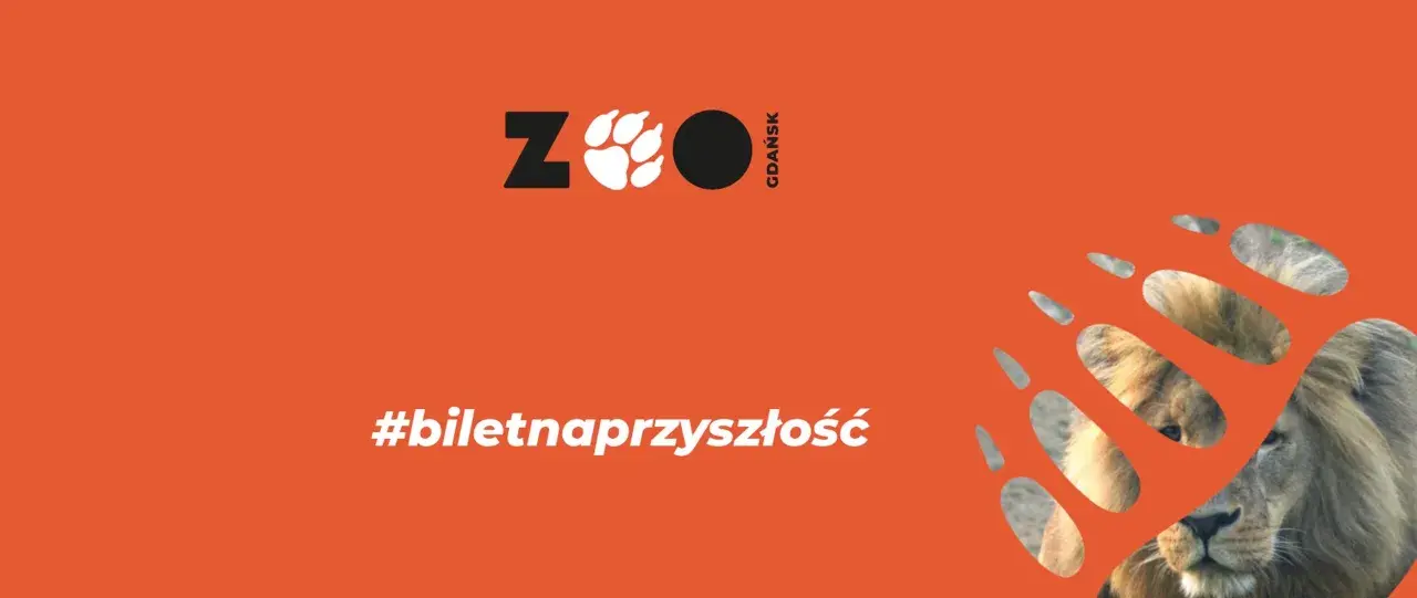 Gdański ogród zoologiczny – bilety. Zobacz lwa i kup #biletna przyszłość.