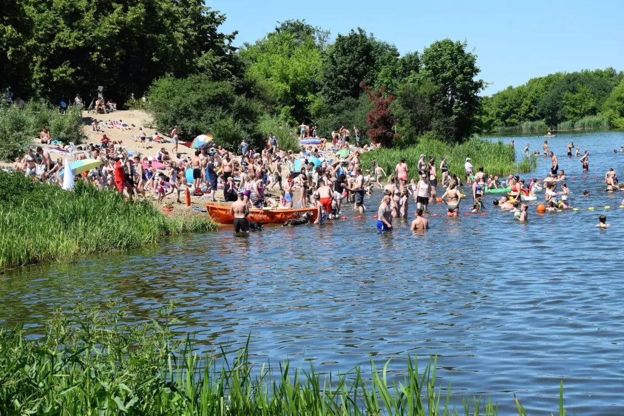 Tłum ludzi na plaży i w wodzie nad Jeziorkiem Czerniakowskim w słoneczny dzień.
