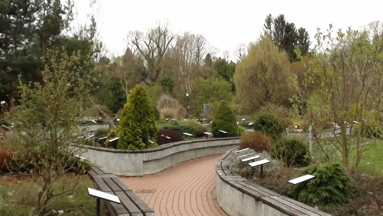 Ogród botaniczny z alejkami, ławkami i tabliczkami informacyjnymi. Wiosenne bolestraszyce atrakcje zachwycają zielenią i kwitnącymi krzewami.