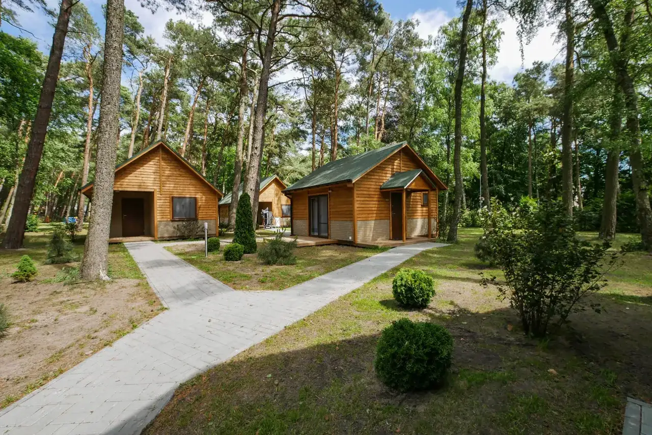 Klimatyczne domki w lesie, otoczone sosnami, z alejkami prowadzącymi do każdego z nich.