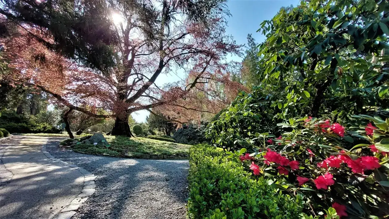 Zdjęcie Najlepszy czas na wizytę w arboretum Wojsławice i kwitnienie roślin