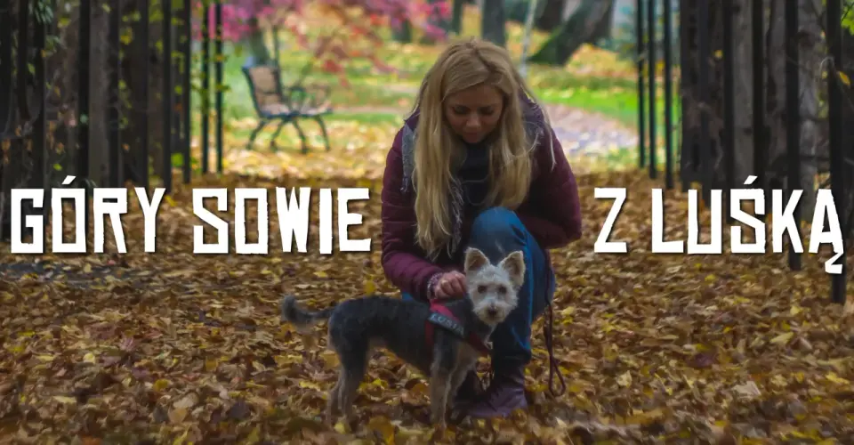 Góry Sowie z psem - najlepsze trasy i praktyczne wskazówki